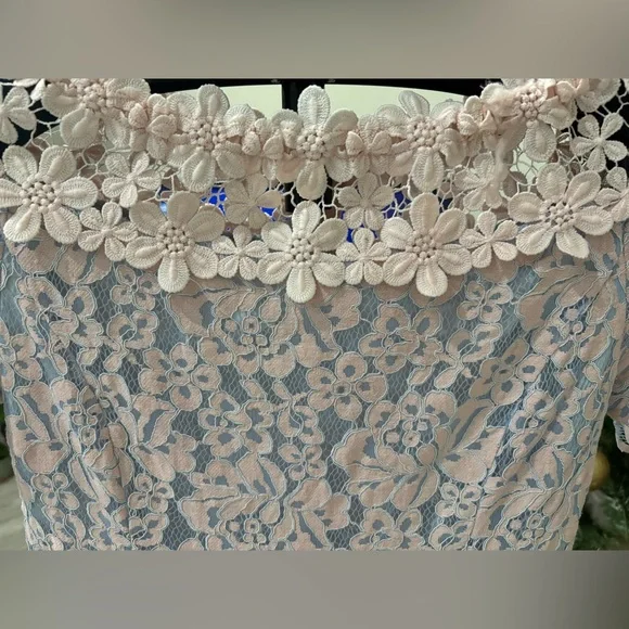 Elegant Floral Lace Dress with Sheer Hem and Flower Appliqué Details - Picture 3 of 6